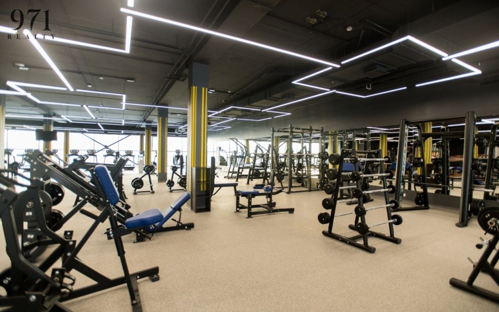 Top 6 Best Premium Gyms in Palm Jumeirah