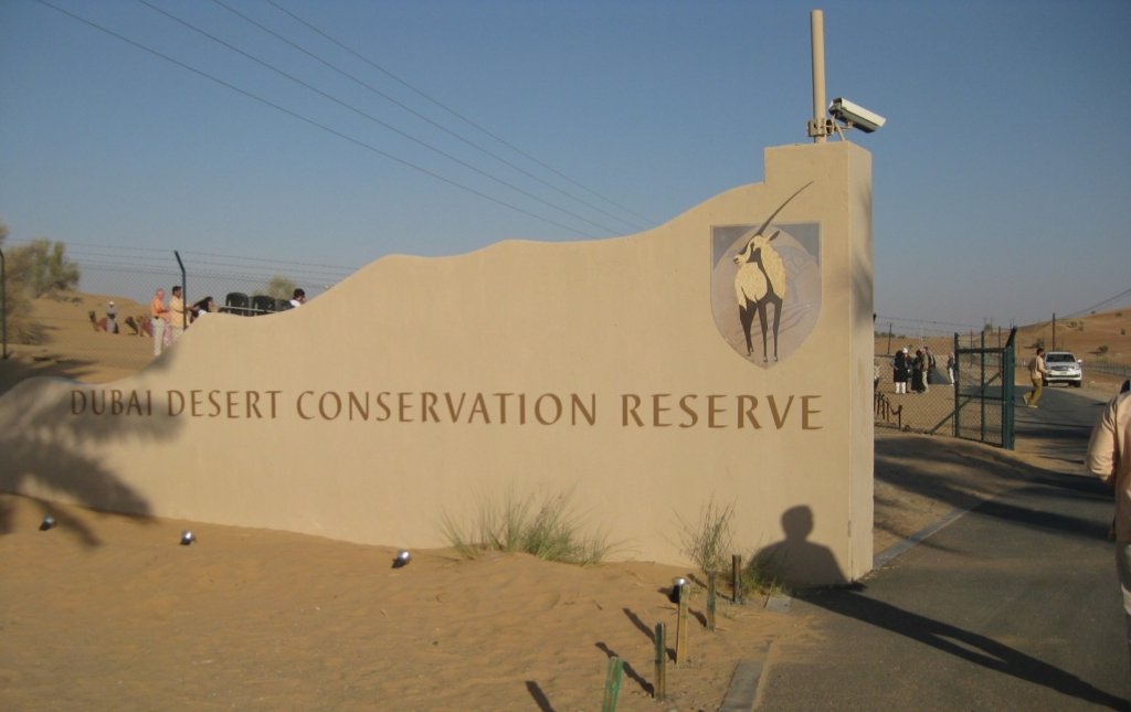 4. Dubai Desert Conservation Reserve (DDCR)