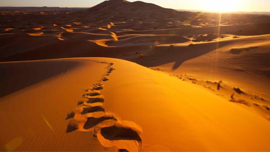 2. Lahbab Desert (Big Red Dune)