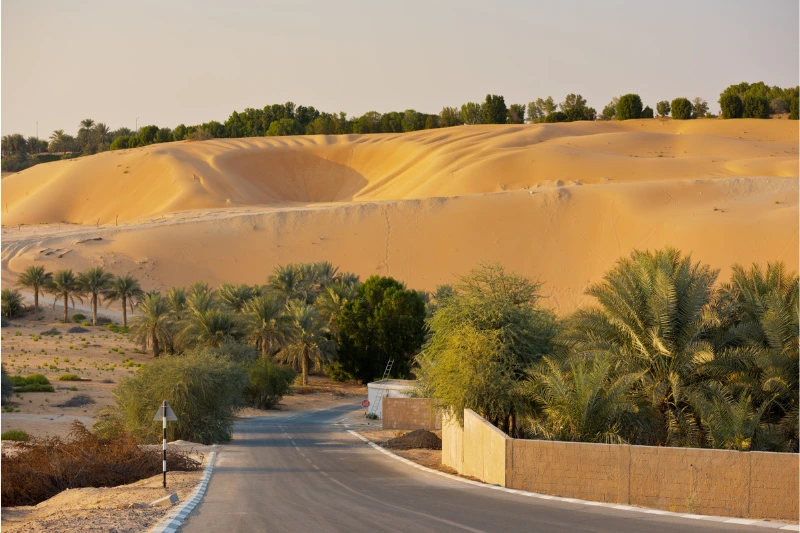3. Liwa Oasis (Near Abu Dhabi – Great for Extended Trips)