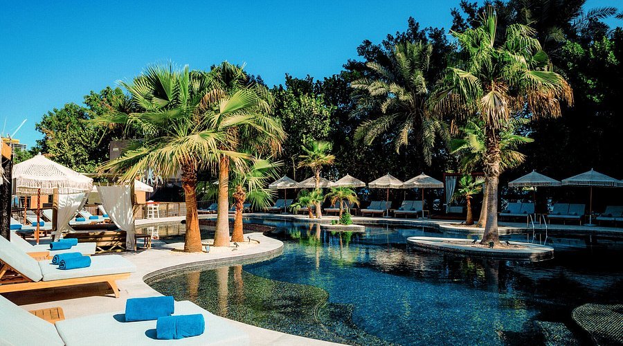 8. Barasti Beach Bar – Dubai’s Most Iconic Beach Bar
