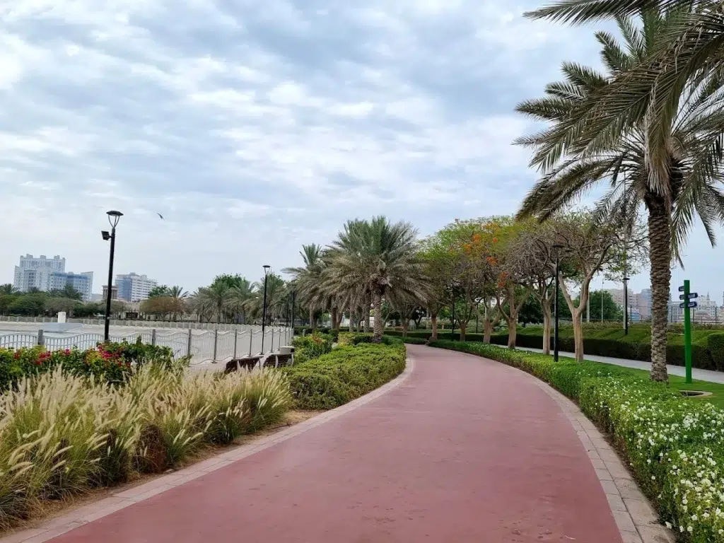 3. Al Barsha Pond Park: The Community Jogging Hub